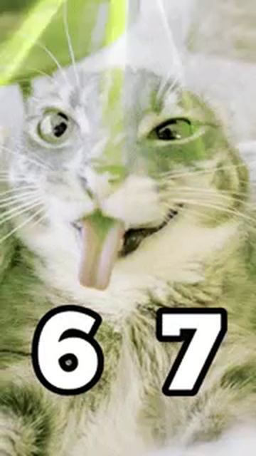 67!