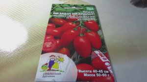 Обзор томата "Ни забот ни хлопот": характеристики сорта от Уральского Дачника