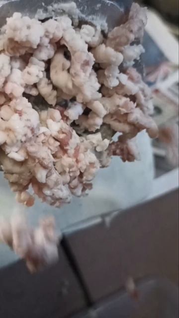 Котле сон, У Дачный