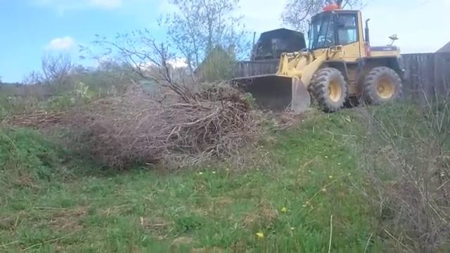 Первые шаги в 2017 году