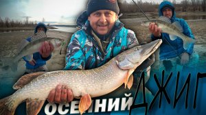 ПРОДОЛЖАЕМ ЗАКРЫВАТЬ СЕЗОН СПИННИНГА / РЫБАЛКА ПОЗДНЕЙ ОСЕНЬЮ НА ДЖИГ В НОВОСИБИРСКЕ.