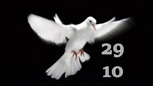 29.10.2025 - Прямая трансляция ст.Елизаветинская