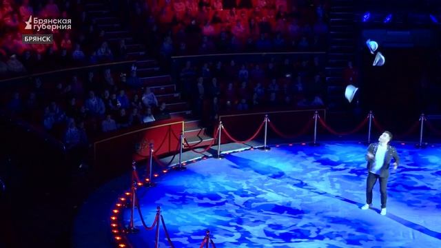 Грандиозная премьера в Брянском цирке покорила сердца публики смотреть онлайн