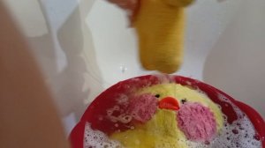 КАК ИСКУПАТЬ УТОЧКУ ЛАЛАФАНФАН?!КАК ЗА НЕЙ УХАЖИВАТЬ ?!