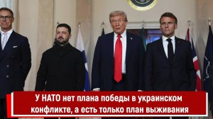 У НАТО нет плана победы в украинском конфликте, а есть только план выживания
