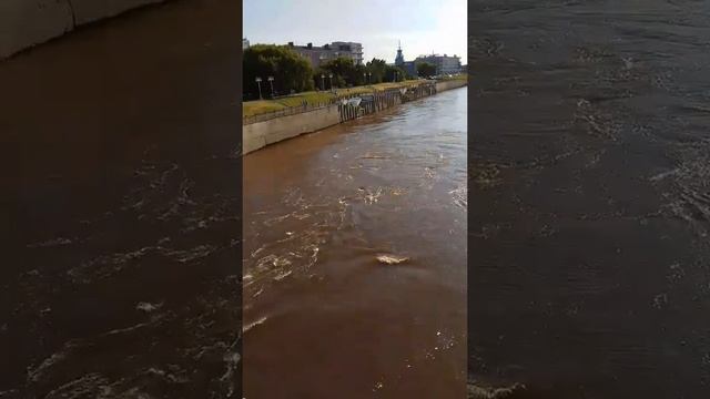 Это было 28 июня день Молодежи смотреть онлайн