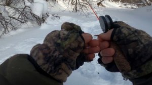 В деревне проверил как хариус поживает