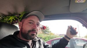 КУПИЛИ ДОМ НА ХУТОРЕ | СПИЛИЛИ ПАЛЬМУ | ПОСАДИЛИ ФИНИК