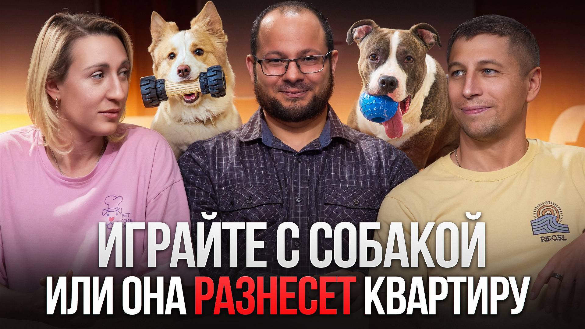 КАК ВЫБРАТЬ ПРАВИЛЬНУЮ ИГРУШКУ ДЛЯ СОБАКИ? смотреть онлайн