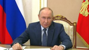 «Рыба — это здоровье нации»: Путин требует вернуть улов на российский прилавок
