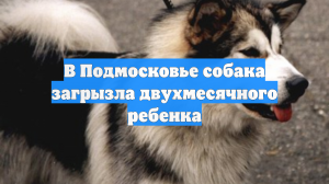 В Подмосковье собака загрызла двухмесячного ребенка