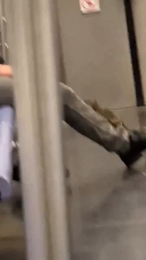 Шок Метро в США