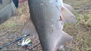 ☑️5 минут и два отличный ЖЕРЕХА на берегу