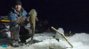 ПЕРЕМЕТ | КАК ОТРАБОТАЛ ЖИВЕЦ | 29.10.2025