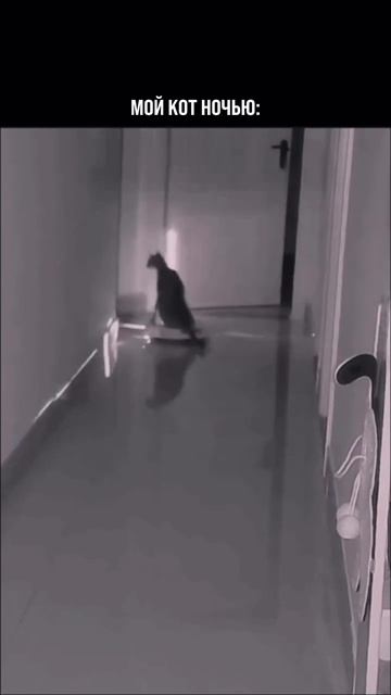 У кого-то — тишина, а у кого-то — рейв 😅