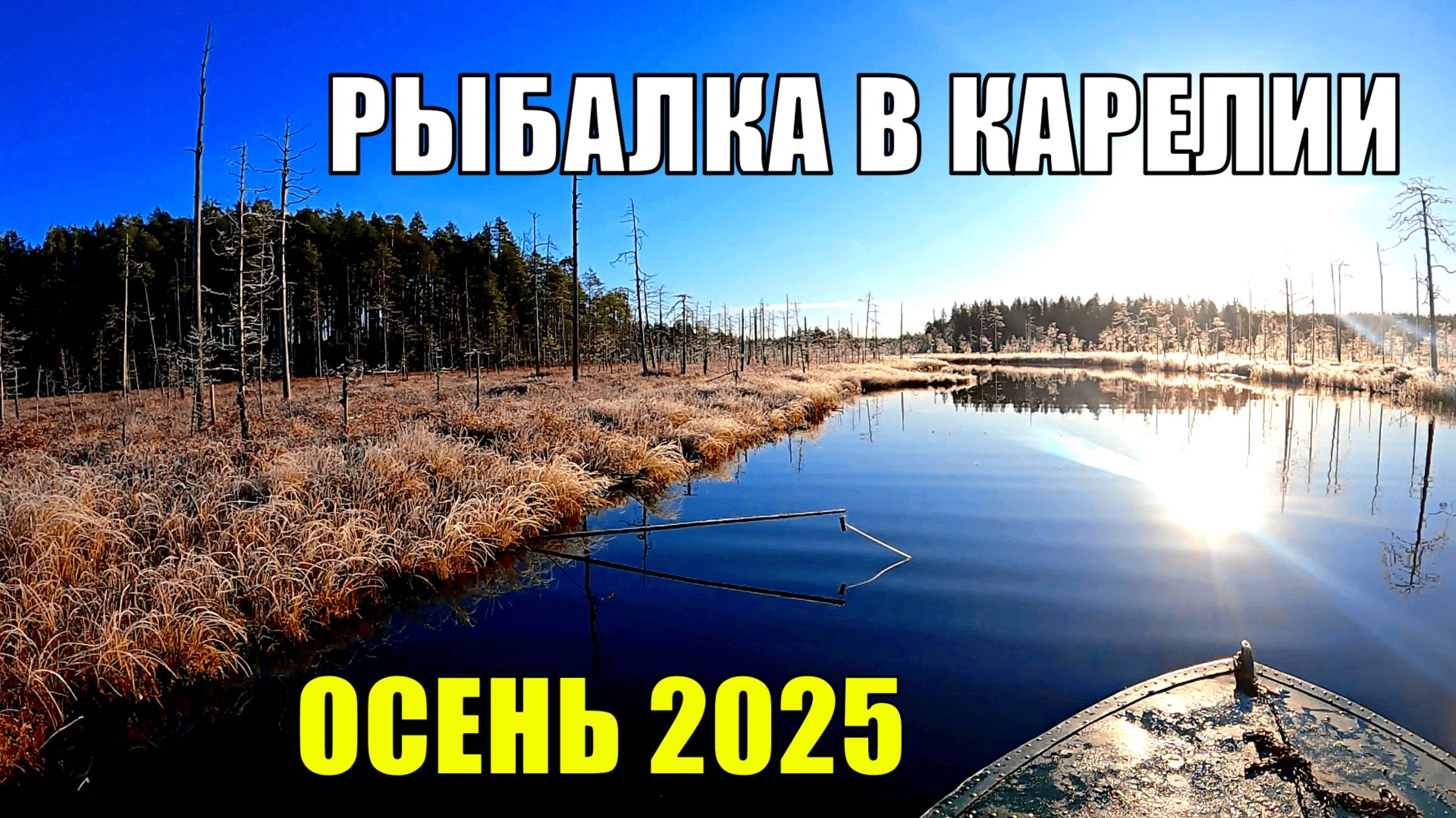 Два дня на таёжном озере. Рыбалка на самоловки и спиннинг 2025. Сказочная Карелия смотреть онлайн