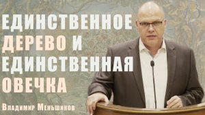 "Единственное дерево и единственная овечка" - Владимир Меньшиков | Проповедь