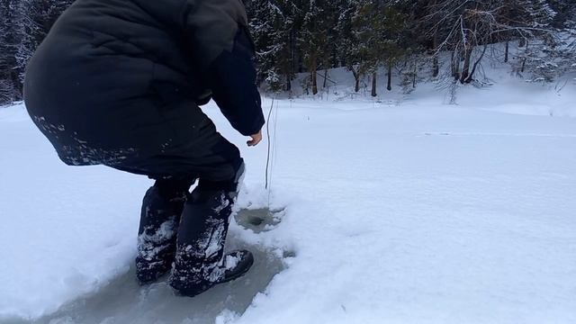 Рыбалка на Косынки. Вода выступает. Один В Лесу.