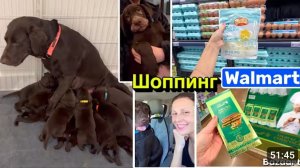 США ВЛОГ Хочу оставить это. Дубайский шоколад $15  Семейный ВЛОГ