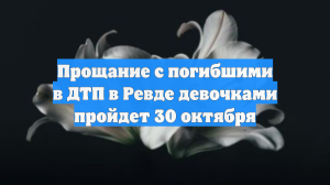 Прощание с погибшими в ДТП в Ревде девочками пройдет 30 октября