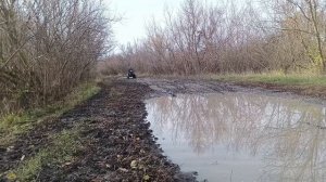 Офроуд на квадроцикле
