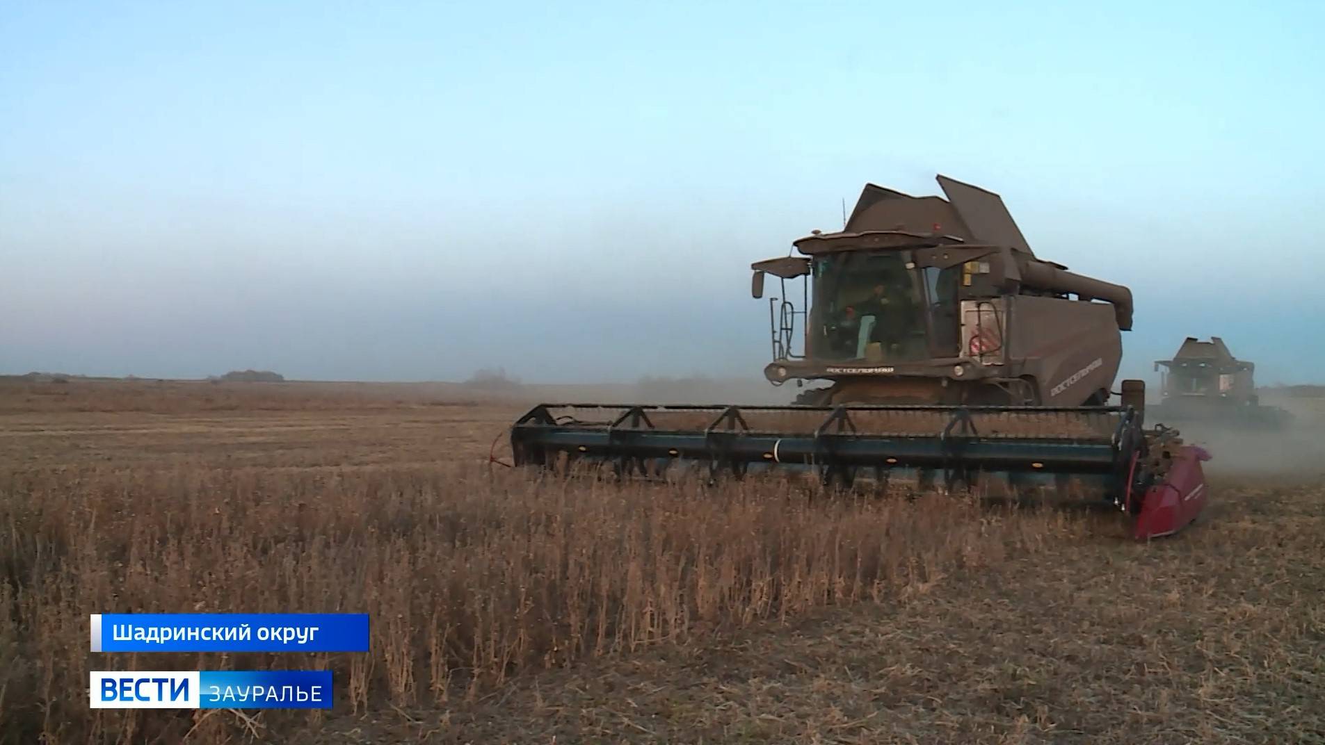 ГТРК Курган продолжает серию репортажей о жизненном пути и достижениях Т.С. Мальцева смотреть онлайн