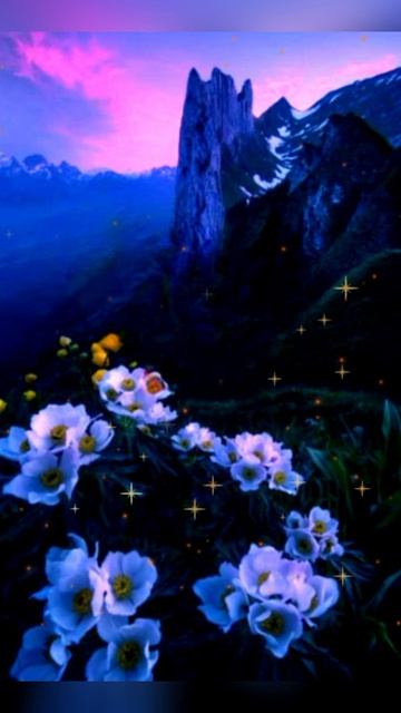 Доброй ночи!.mp4 смотреть онлайн