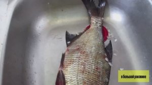 Секрет чистки леща за 3 минуты видео: Чешуя отлетает сама!
