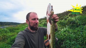 Крепче спиннинг держи! Щука клюёт там где никто не ожидал!