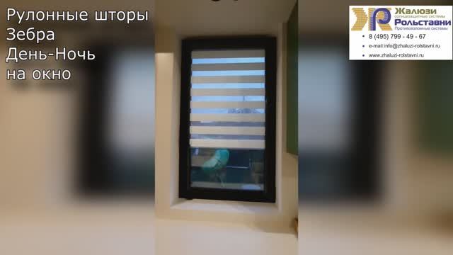 Рулонные шторы Зебра День-Ночь на окно...