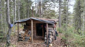 УШЛИ В ИЗБУ НА ЧЕТЫРЕ ДНЯ. ОХОТИМСЯ НА БОРОВУЮ ДИЧЬ. ЧАСТЬ1