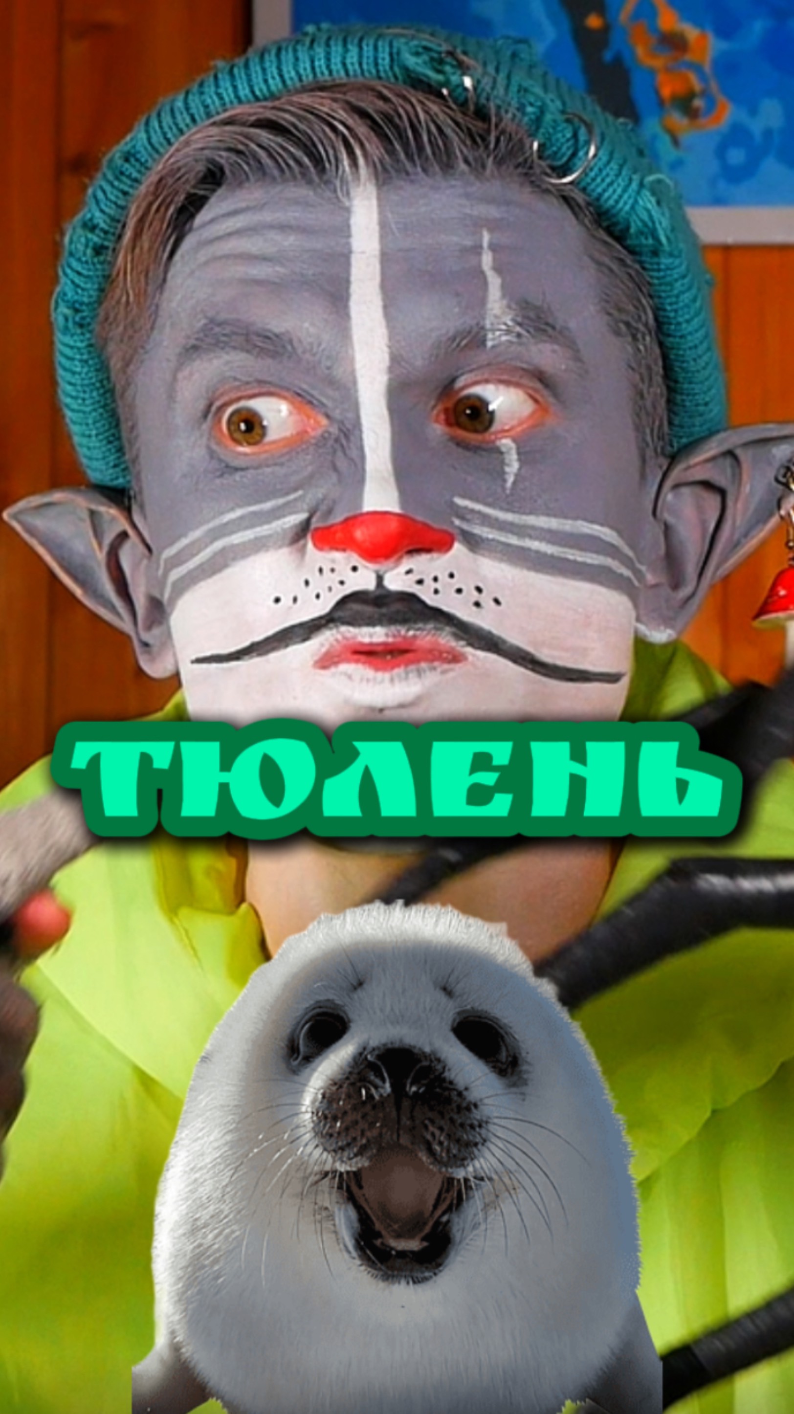 Кот Учёный и Тюлень 🦭 смотреть онлайн