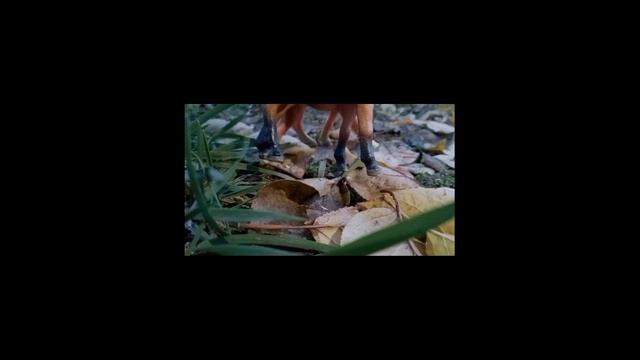 сериал "Охотники на ведьм"Шляйх/Коллекта смотреть онлайн