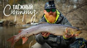 ТАЙМЕНЬ на ультралайт. Ленок на воблеры и джиг. Таежная река.