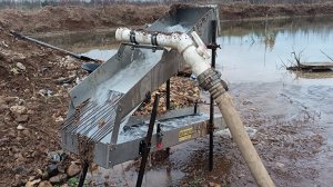 МОЮ САМОРОДНОЕ ЗОЛОТО НОВЫМИ КОВРАМИ SOTA!!!