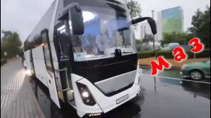 Автобус МАЗ