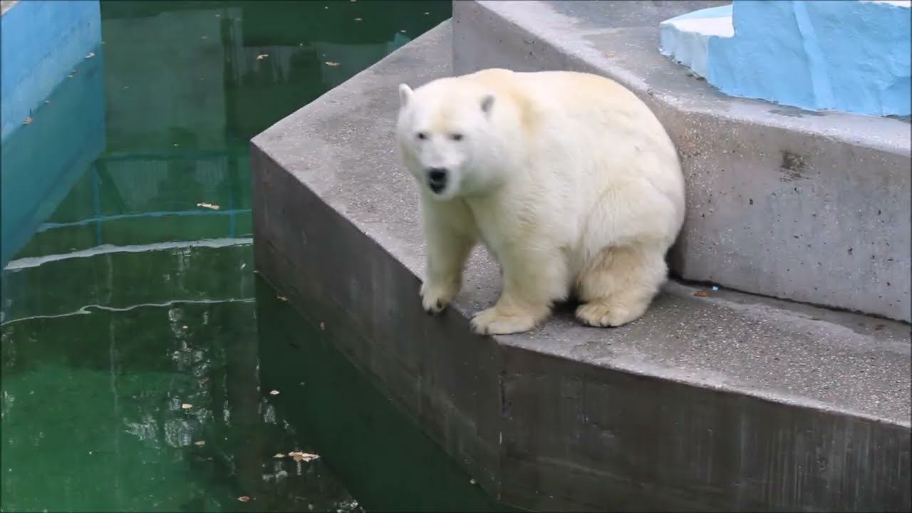 У Герды после завтрака всегда прогулка 27.10.2025 смотреть онлайн