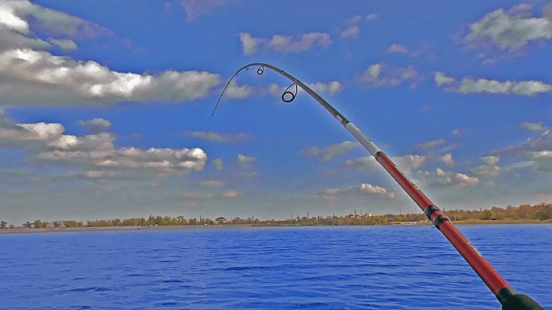 РЫБАЛКА НА ЛОДКЕ — НЕОЖИДАННЫЙ УЛОВ! Рыбалка на спиннинг с лодки смотреть онлайн