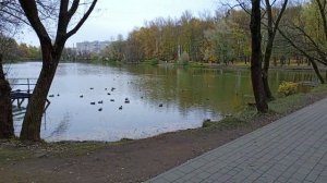 ОСЕННЕЕ СОЛНЦЕ