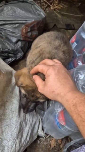 18. Участник городского конкурса видеороликов Мой герой Анастасия Злотникова смотреть онлайн