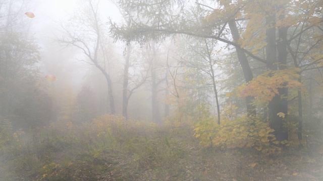 Футаж. Осенний пейзаж 33 смотреть онлайн