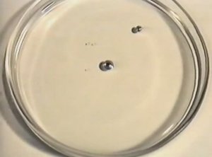 Физика. Опыты. Живые капли ртути