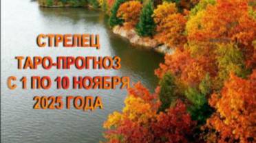 СТРЕЛЕЦ ТАРО-ПРОГНОЗ С 1 ПО 10 НОЯБРЯ 2025 ГОДА смотреть онлайн