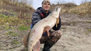 Вот это улов! Щука мечты поймана? Рыбалка на Трофейную Щуку!