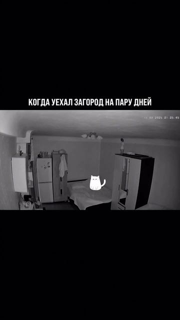 Наш клиент и подписчик прислал видео