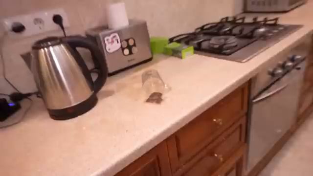 ЧТО-ТО Живет в Нашем ПОДВАЛЕ [get-save.com].mp4