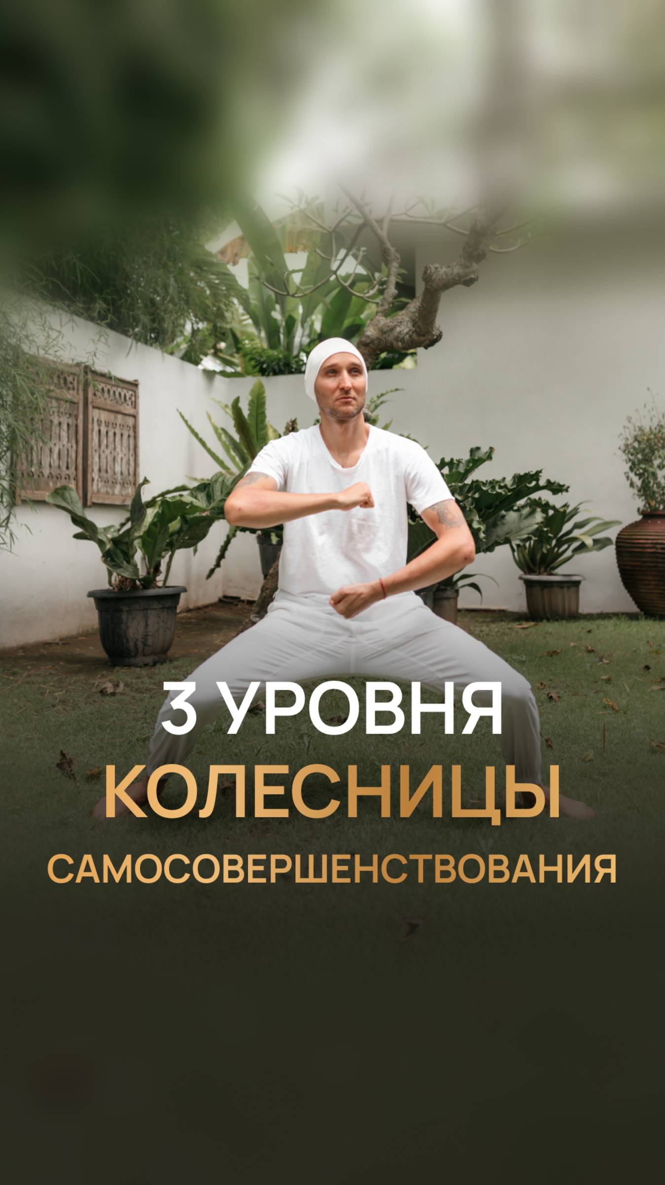 3 уровня колесницы самосовершенствования 06 09 смотреть онлайн