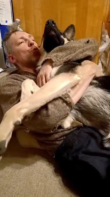 ВЕО Валентлайф Черемуха, 19 мес. - октябрь 2025 - ты меня любишь ?