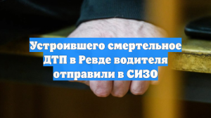 Устроившего смертельное ДТП в Ревде водителя отправили в СИЗО