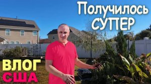 Используем находки из распаковок, получилась👍Наш миртл погибает... Закончили уборку двора и клумбы